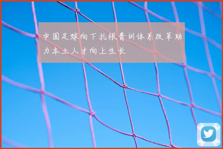 中国足球向下扎根青训体系改革助力本土人才向上生长